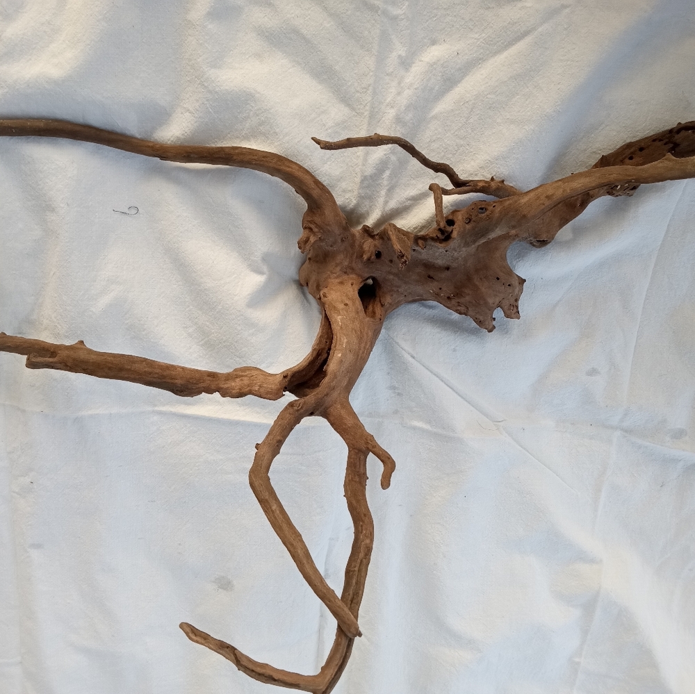 Driftwood natural raw and untouched from Florida
